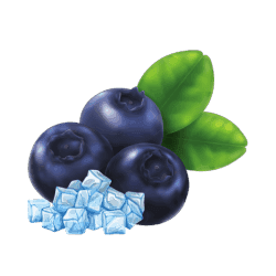 Blue berry Ice