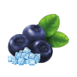 Blue berry Ice