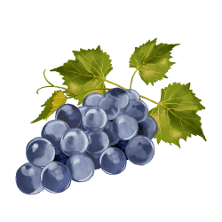 grape