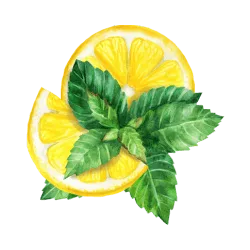 Lemon Mint